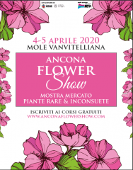 Ancona flower show